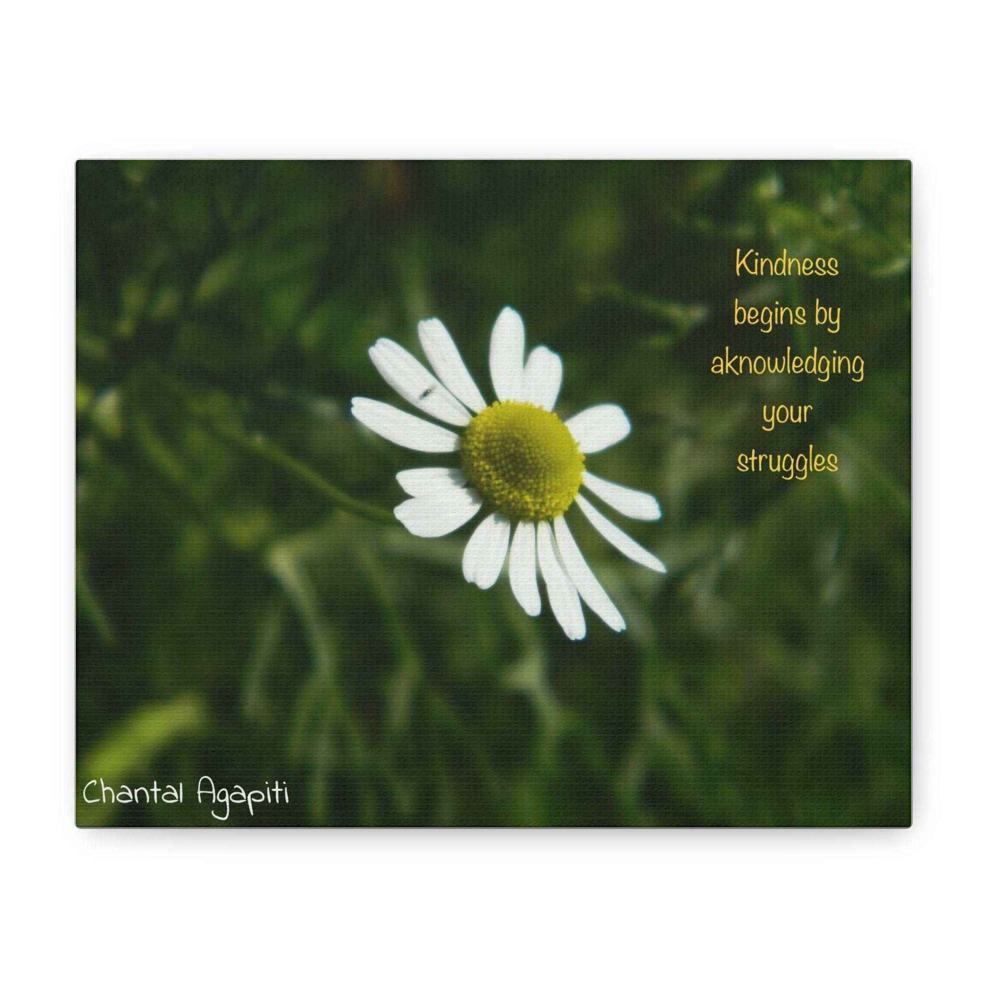 Inspirational Canvas Wall Art - Kindness Begins by Acknowledging Your Struggles - The Dreamer's Bookshop.