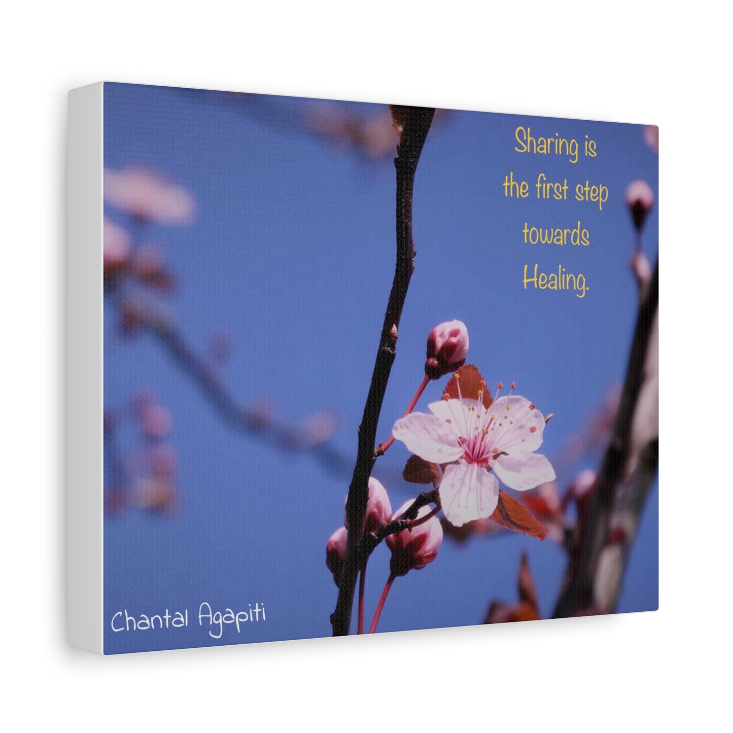 Inspirational Flower Canvas Print - "Sharing is the First Step Towards Healing" - The Dreamer's Bookshop.
