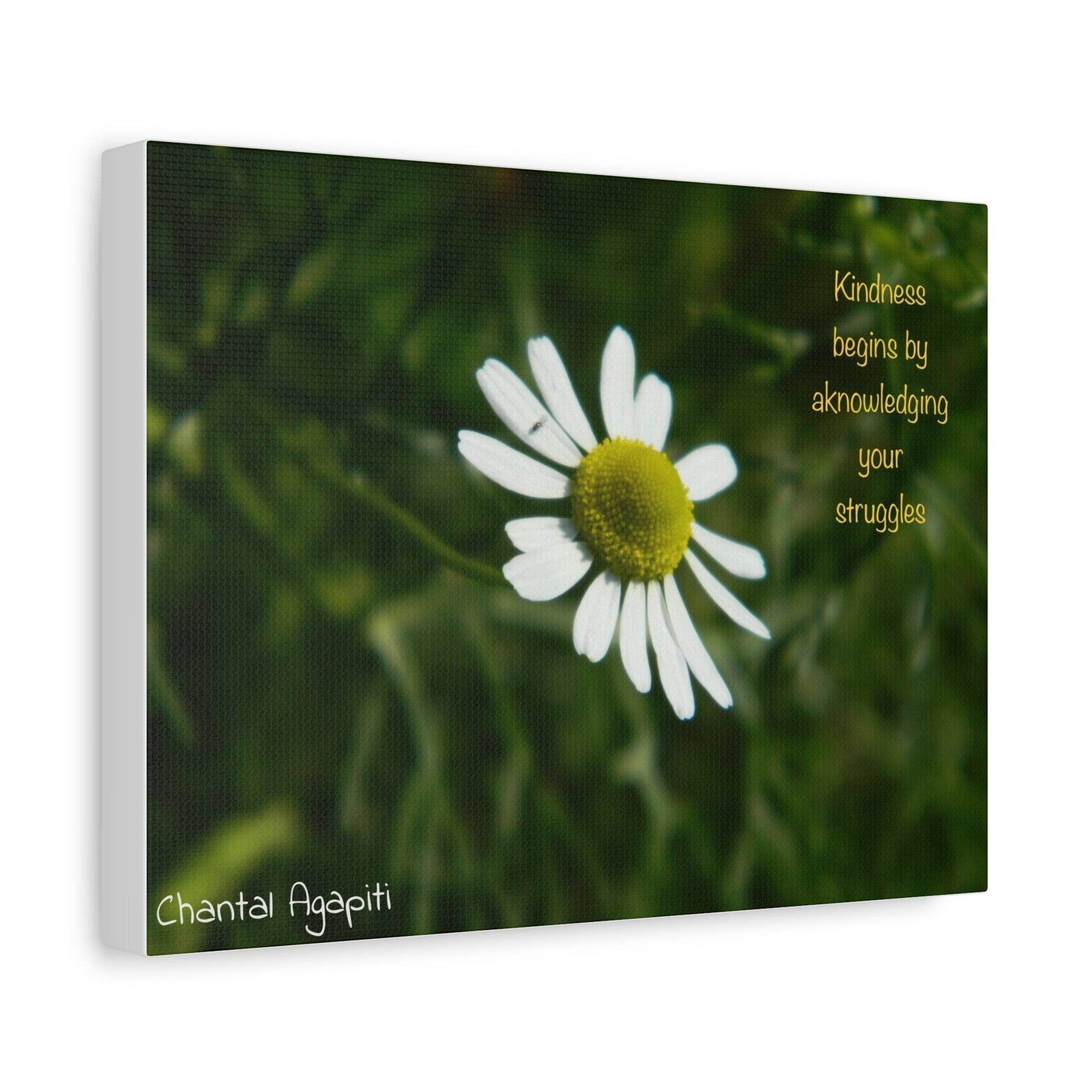 Inspirational Canvas Wall Art - Kindness Begins by Acknowledging Your Struggles - The Dreamer's Bookshop.