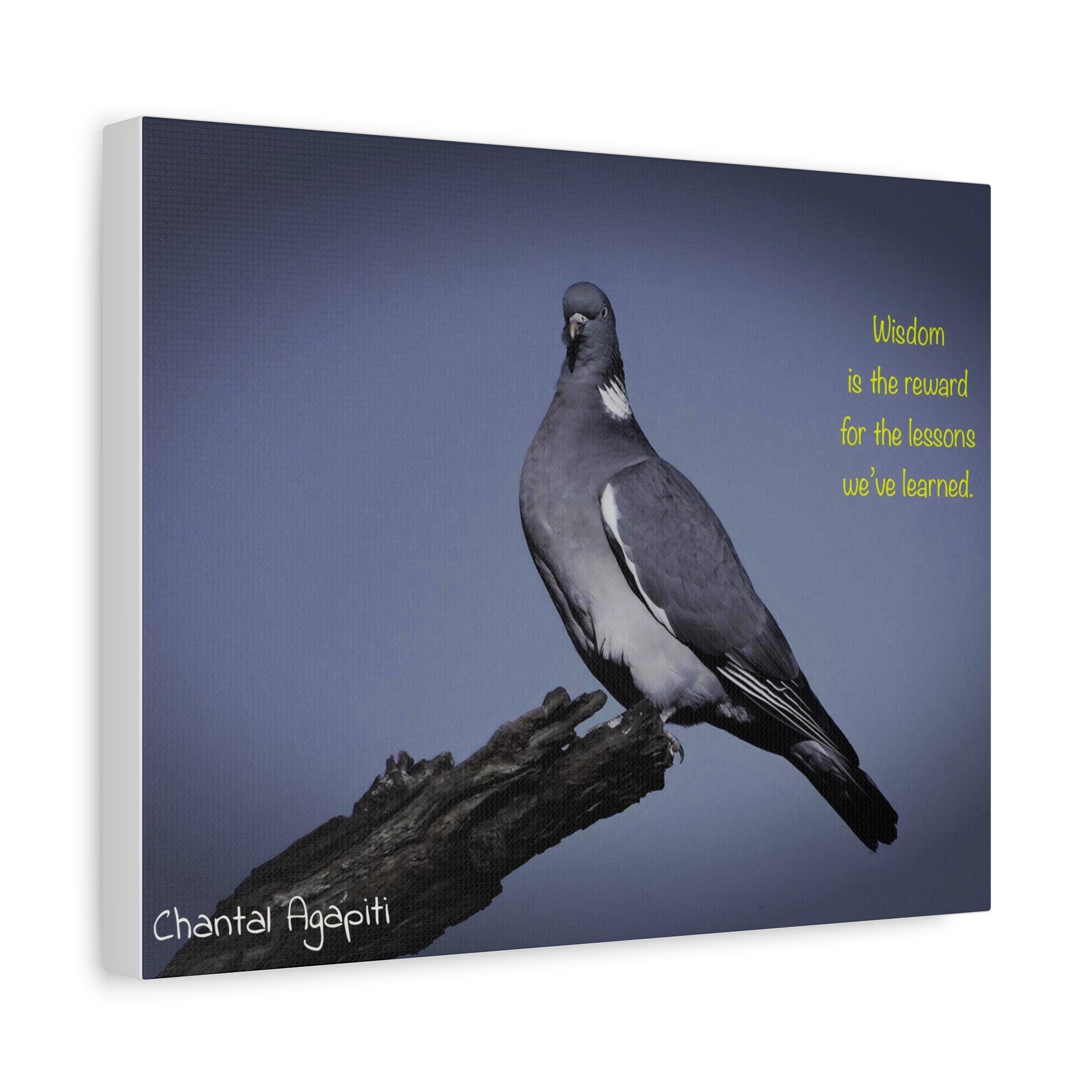 Inspirational Bird Canvas Art - "Wisdom is the Reward" - The Dreamer's Bookshop.