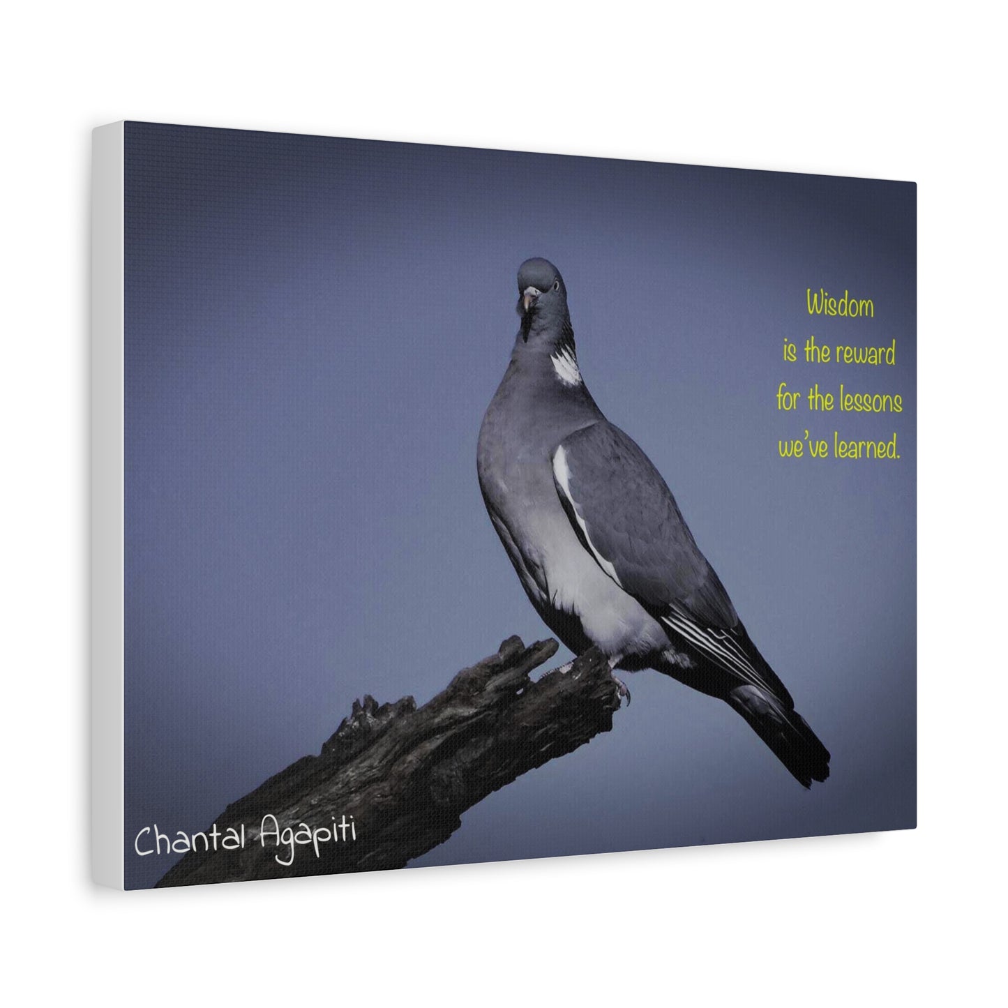 Inspirational Bird Canvas Art - "Wisdom is the Reward" - The Dreamer's Bookshop.
