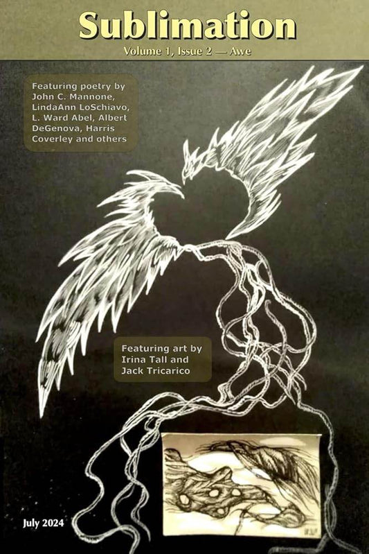 Sublimation: Volume 1, Issue 2, July 2024 — Awe (Sublimation: a Magazine of Speculative Poetry and Art) - The Dreamer's Bookshop.