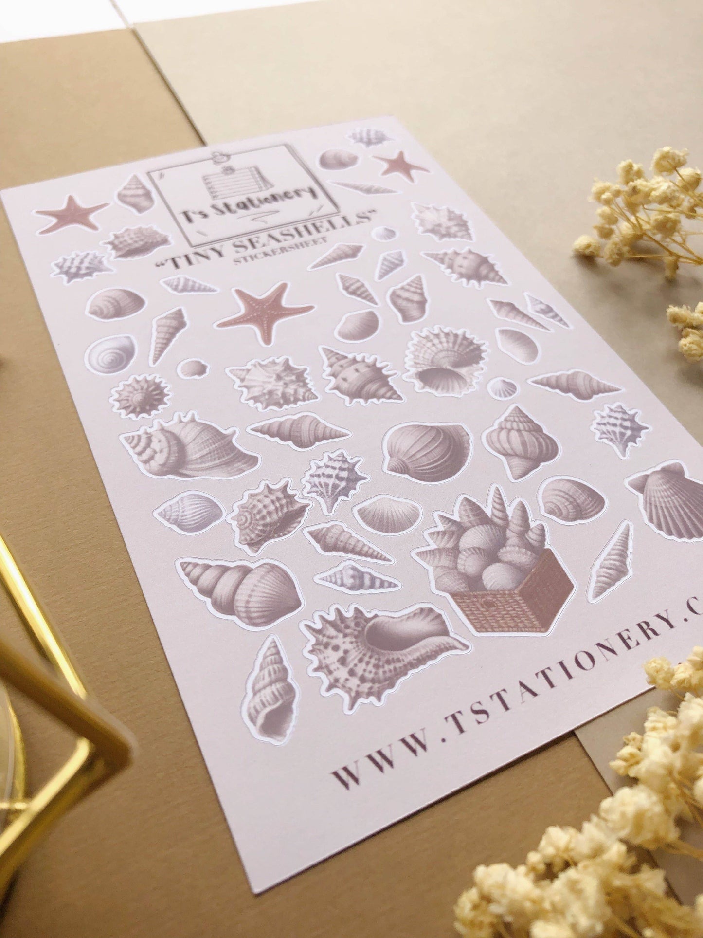 T's Stationery - Stickervel „Tiny Seashells” - The Dreamer's Bookshop.